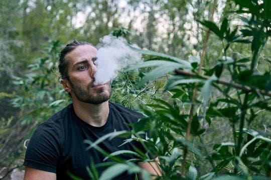 E-Papierosy Jednorazowe staszica koszalin gdzie kupić najlepsze oferty recenzje i porady